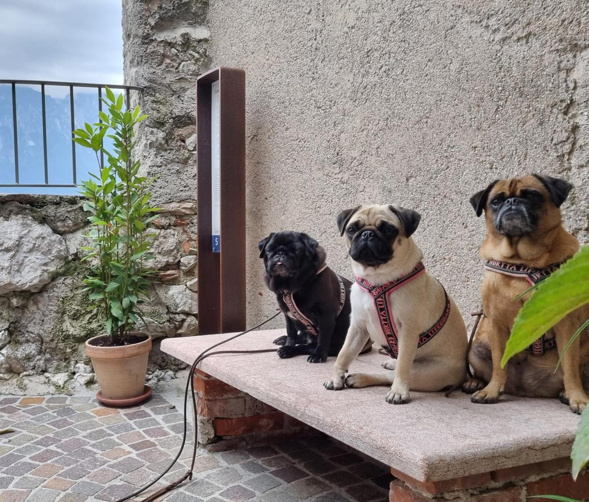 Locanda Al Castelletto Tremosine Extérieur photo